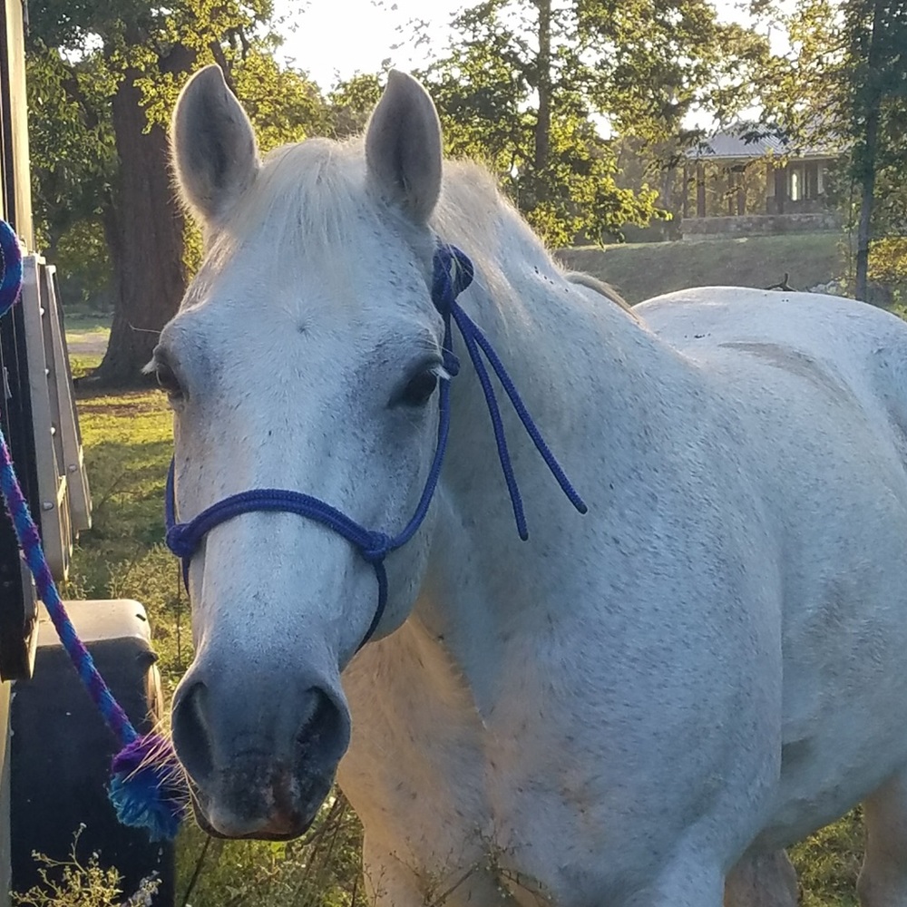 Meet your Posher, Rhonda